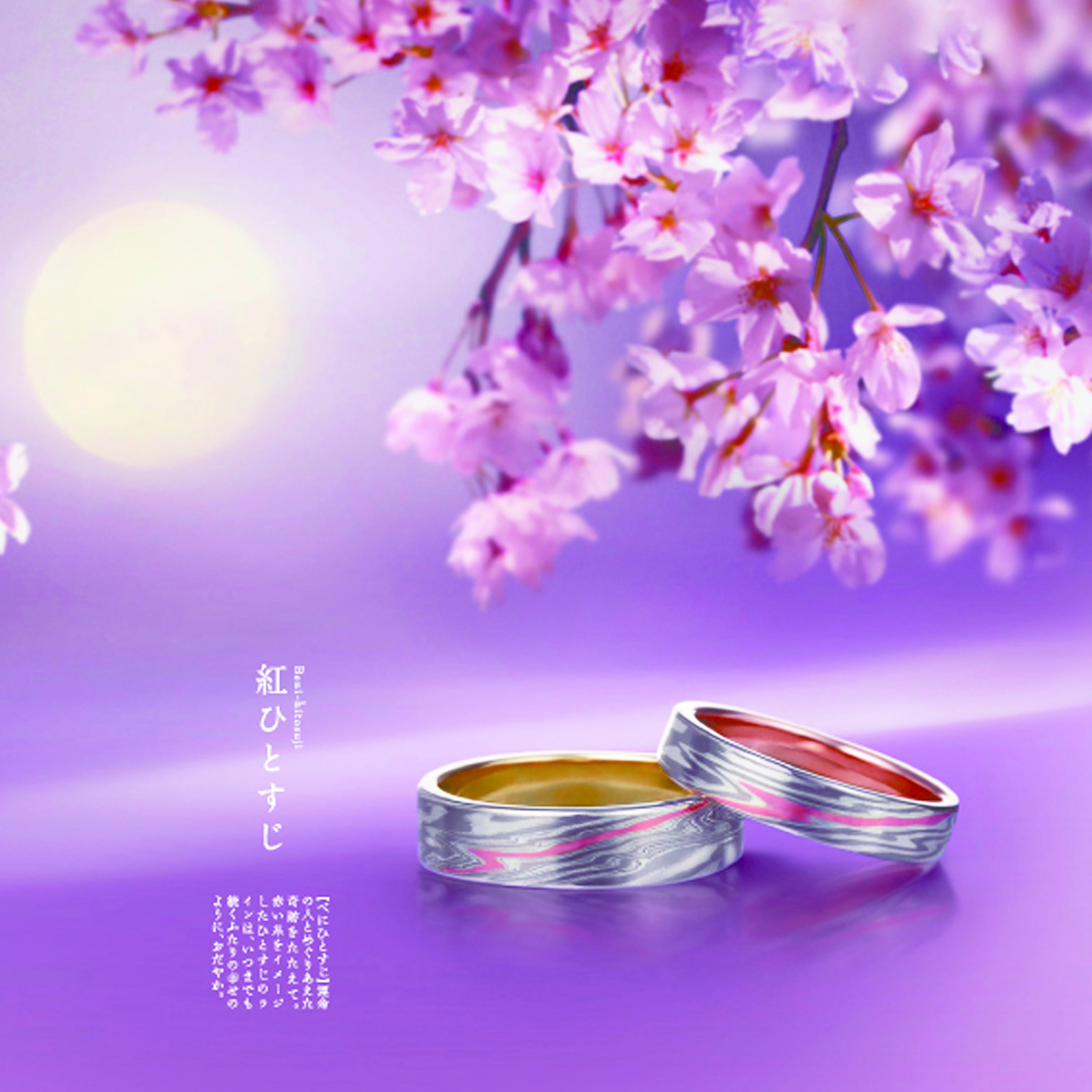 桜フェスティバルと梅の花♪